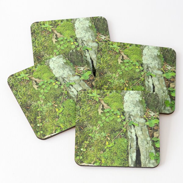 Item preview, Moss Makes Everything Better designed and sold by Hannah M..
