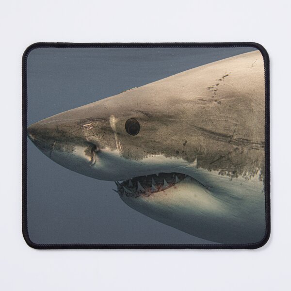 Item preview, Underwater Great White Shark Photography - Shark Week designed and sold by JLFXCreations.