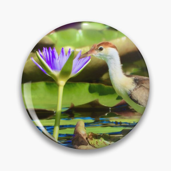 Item preview, Comb-Crested Jacana on lily pads designed and sold by Mark Grimsley.