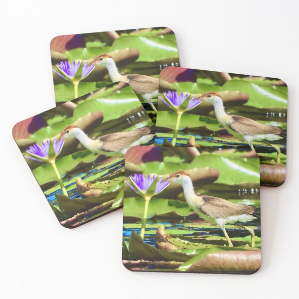 Item preview, Comb-Crested Jacana on lily pads designed and sold by Mark Grimsley.
