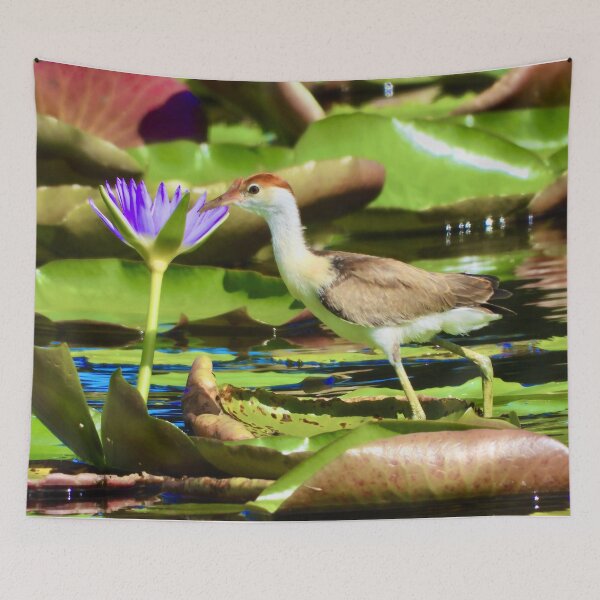 Item preview, Comb-Crested Jacana on lily pads designed and sold by Mark Grimsley.