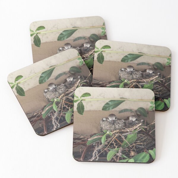 Item preview, My Two Mourning Dove Babies July 2023 designed and sold by heatherfriedman.