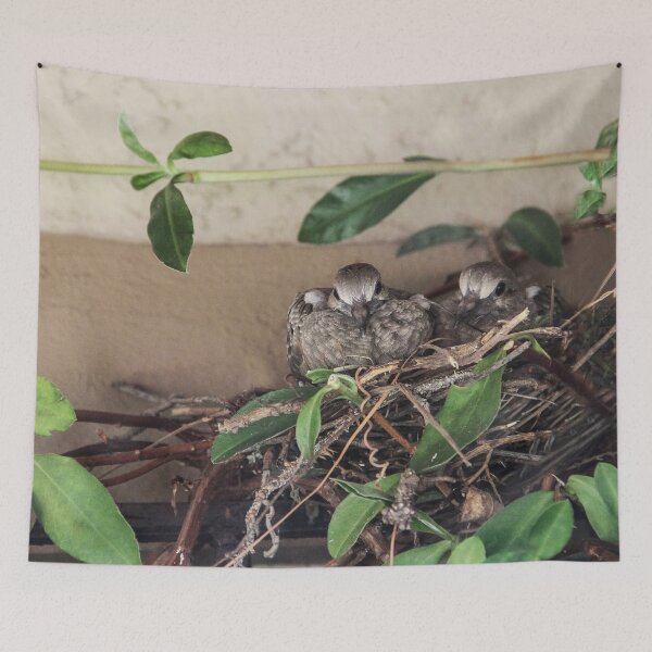 Item preview, My Two Mourning Dove Babies July 2023 designed and sold by heatherfriedman.