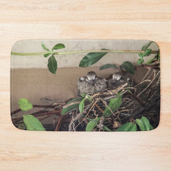 Item preview, My Two Mourning Dove Babies July 2023 designed and sold by heatherfriedman.