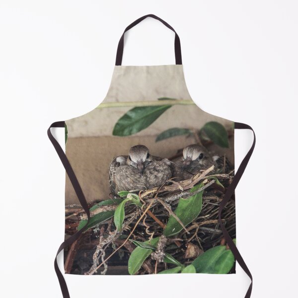 Item preview, My Two Mourning Dove Babies July 2023 designed and sold by heatherfriedman.