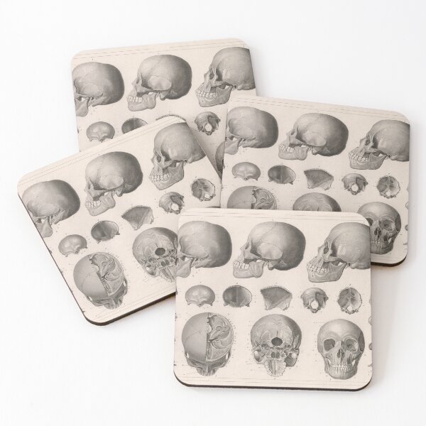 Item preview, Vintage Human Skull Anatomy Diagram (1850) designed and sold by BravuraMedia.