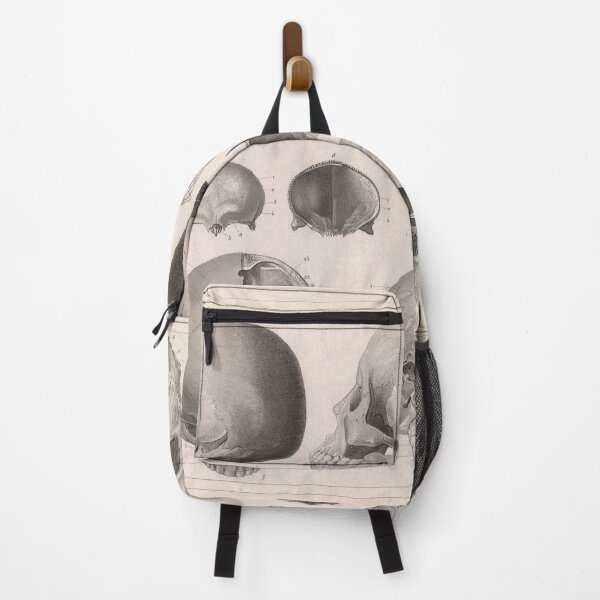Item preview, Vintage Human Skull Anatomy Diagram (1850) designed and sold by BravuraMedia.