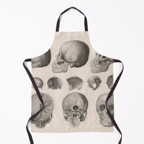 Item preview, Vintage Human Skull Anatomy Diagram (1850) designed and sold by BravuraMedia.