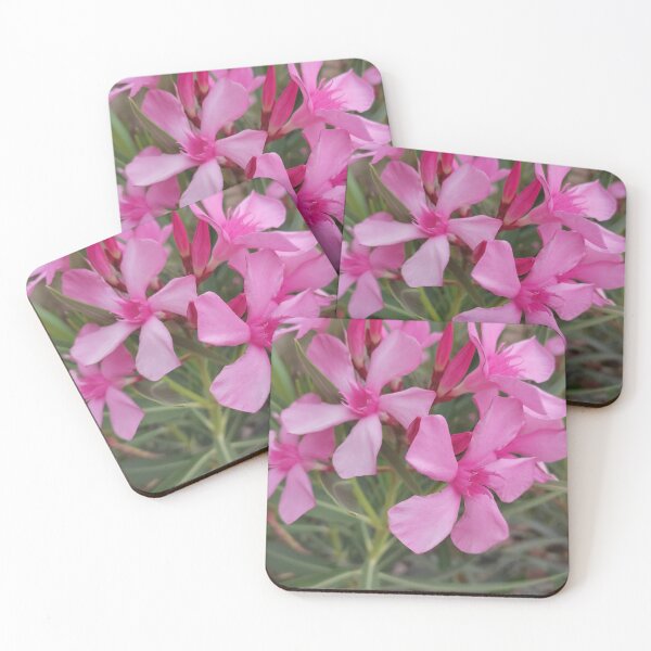 Item preview, gall flower designed and sold by aissa003.