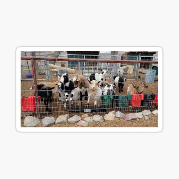 Item preview, The herd designed and sold by FreeRangeAnimal.