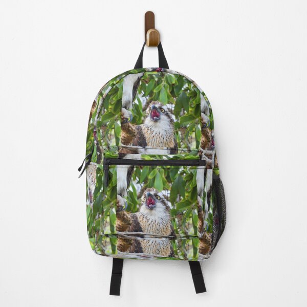 Item preview, Young Osprey making some noise designed and sold by Mark Grimsley.