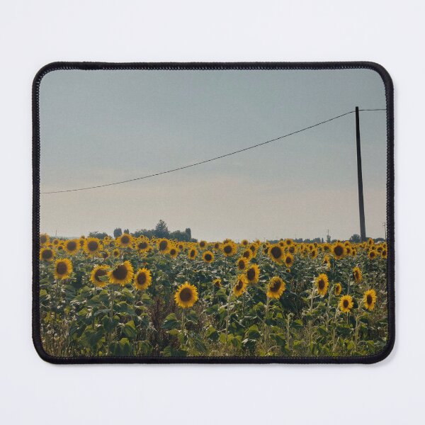 Item preview, sunflower field designed and sold by Cam Matt.
