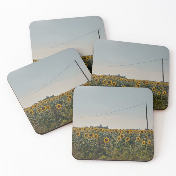 Item preview, sunflower field designed and sold by Cam Matt.