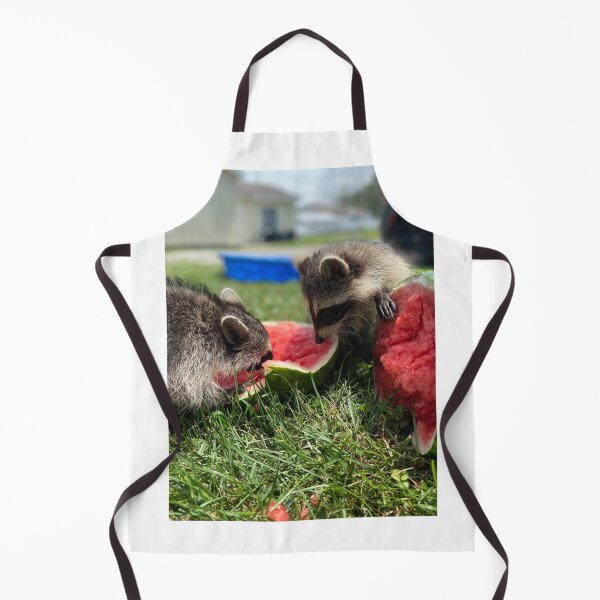 Item preview, Raccoons eating watermelon designed and sold by SurfeitShop.