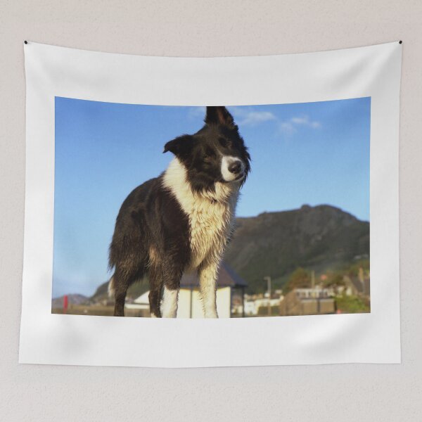Item preview, "Time for the head Tilt" designed and sold by Michael Haslam.