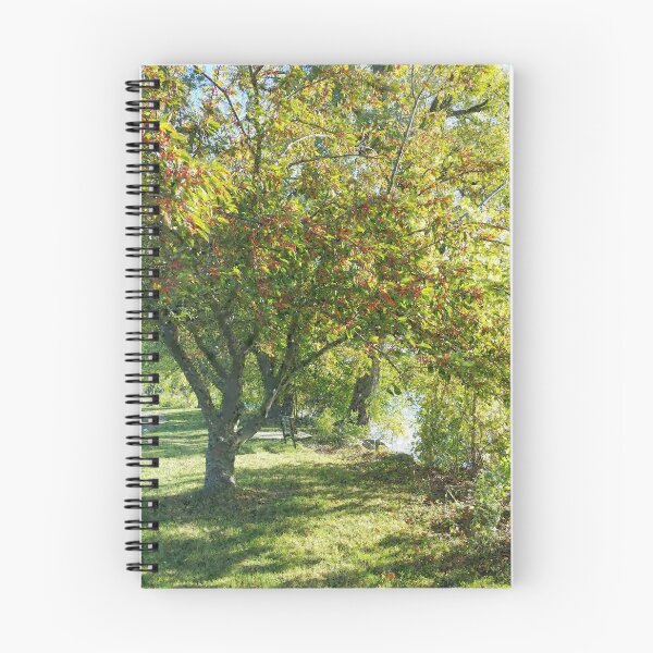 Item preview, Tranquility. designed and sold by TJS-Photography.