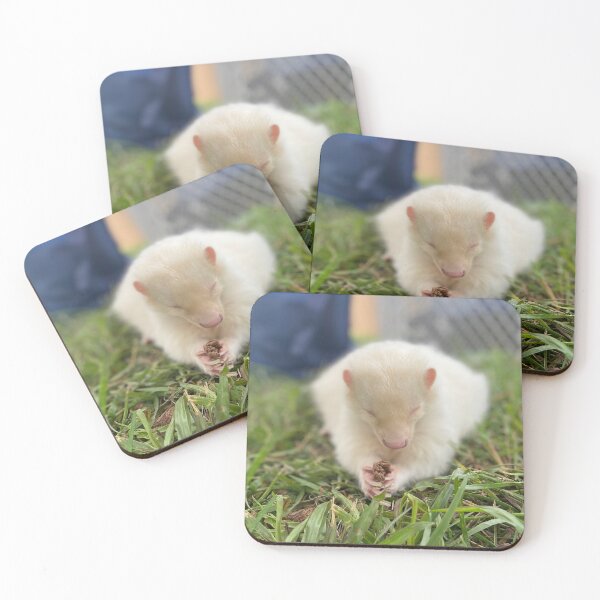 Item preview, Albino skunk designed and sold by SurfeitShop.