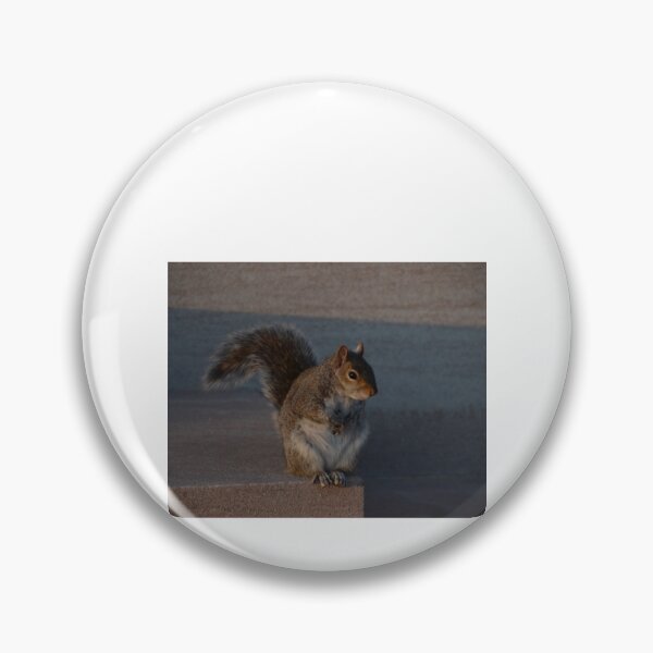 Item preview, Urban Gray Squirrel designed and sold by demetrius-krame.