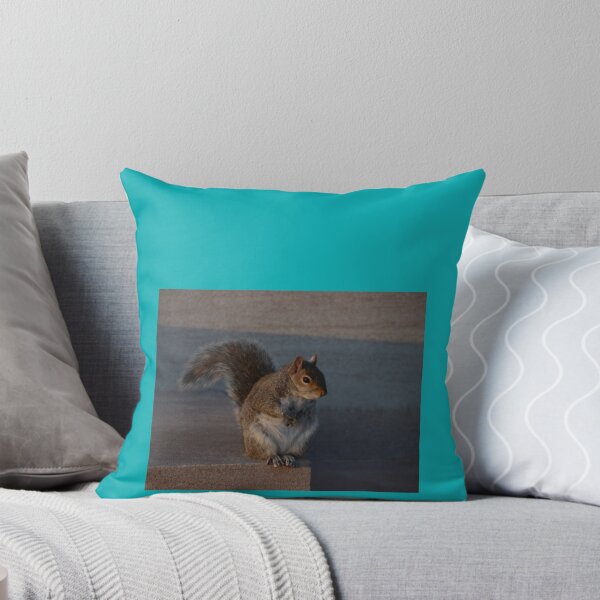 Item preview, Urban Gray Squirrel designed and sold by demetrius-krame.