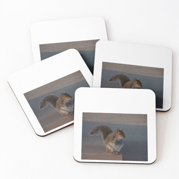 Item preview, Urban Gray Squirrel designed and sold by demetrius-krame.