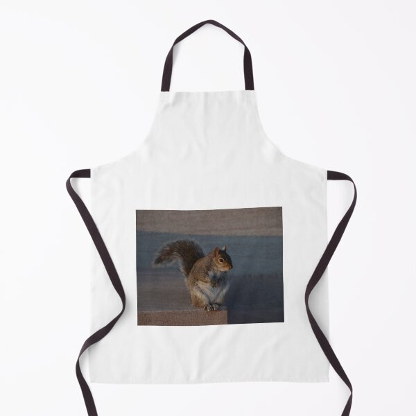 Item preview, Urban Gray Squirrel designed and sold by demetrius-krame.