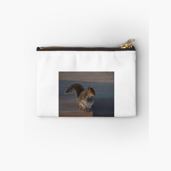 Item preview, Urban Gray Squirrel designed and sold by demetrius-krame.