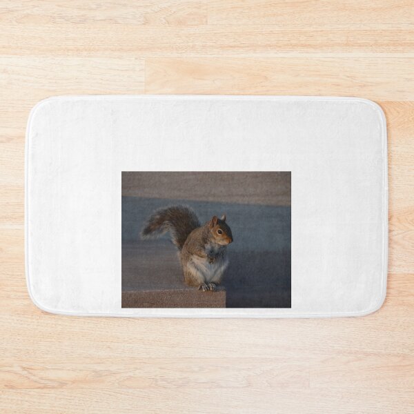 Item preview, Urban Gray Squirrel designed and sold by demetrius-krame.