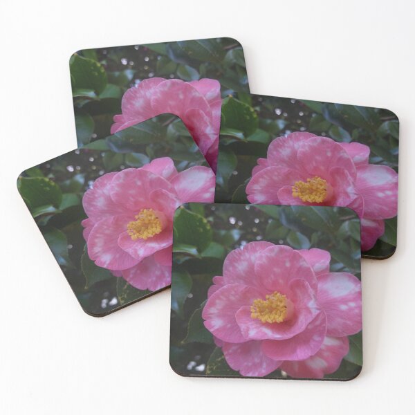 Item preview, Camelia Flower Photography designed and sold by LivChrisDesigns.