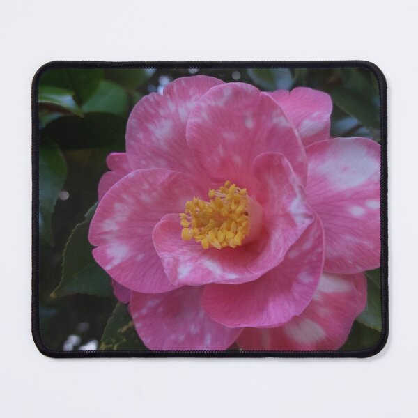 Item preview, Camelia Flower Photography designed and sold by LivChrisDesigns.
