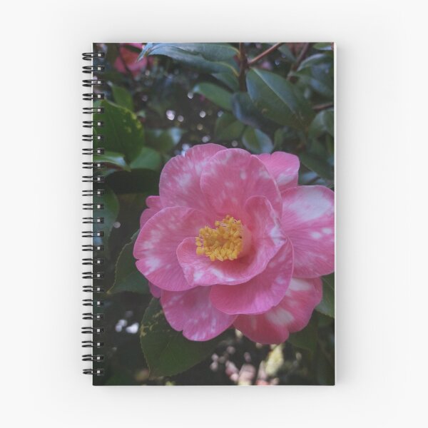 Item preview, Camelia Flower Photography designed and sold by LivChrisDesigns.