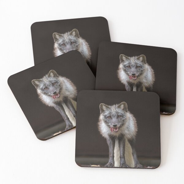 Item preview,  Captivating Silver Fox designed and sold by rawshutterbug.