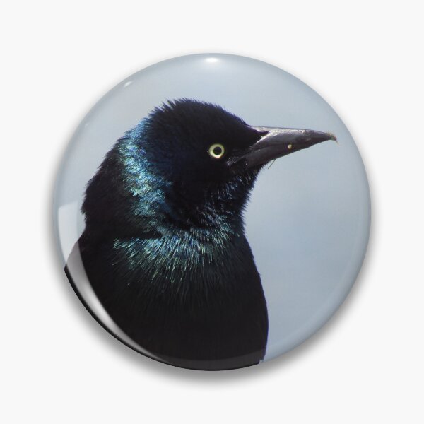 Item preview, Common Grackle designed and sold by RogueLeaderT65B.