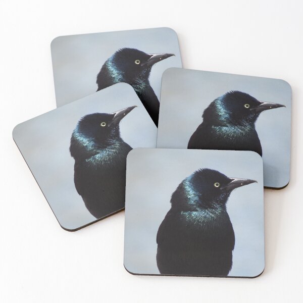 Item preview, Common Grackle designed and sold by RogueLeaderT65B.