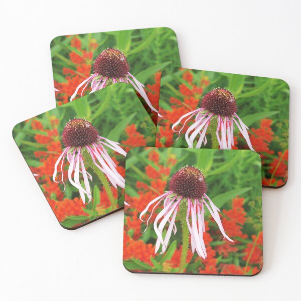Item preview, Coneflowers and Butterfly weed 7605 designed and sold by rvjames.