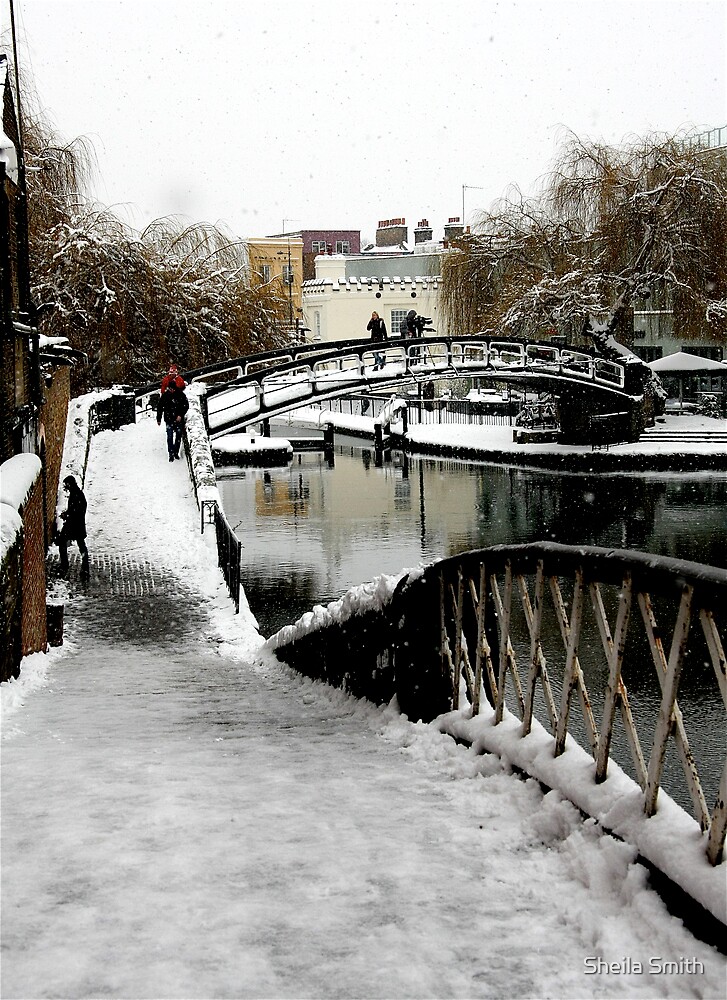 camden shark bridge camden shark bridge