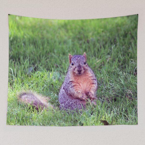 Item preview, Fox Squirrel designed and sold by Strawflower Oasis.