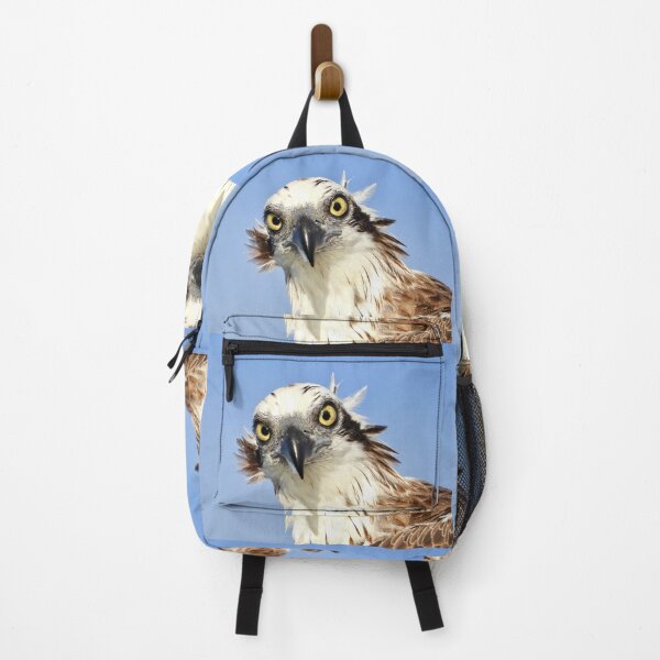 Item preview, Osprey Intimidating stare on the Urangan pier designed and sold by Mark Grimsley.