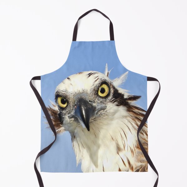 Item preview, Osprey Intimidating stare on the Urangan pier  designed and sold by Mark Grimsley.