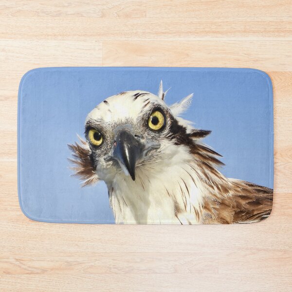 Item preview, Osprey Intimidating stare on the Urangan pier  designed and sold by Mark Grimsley.