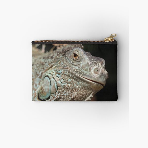 Item preview, Iguana designed and sold by Chantelle Benade.