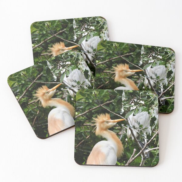 Item preview, Egret bad hair day designed and sold by Mark Grimsley.