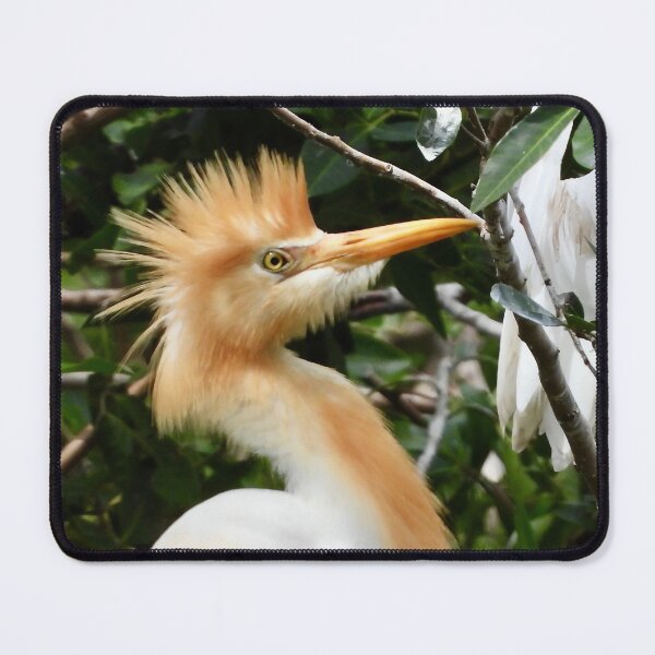 Item preview, Egret bad hair day designed and sold by Mark Grimsley.
