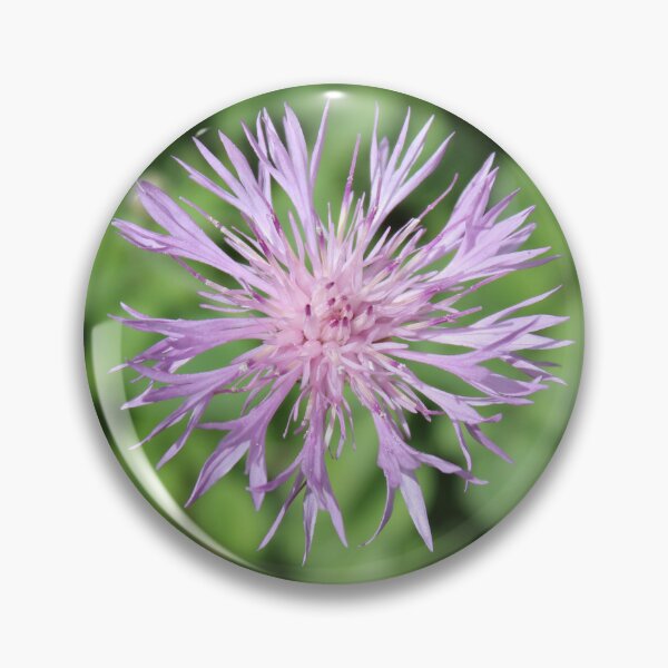 Item preview, Star Thistle  designed and sold by Linda Sijpkes.