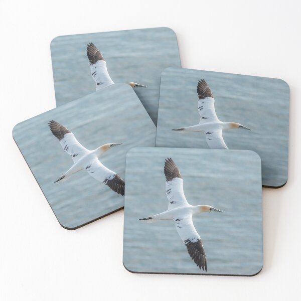 Item preview, Gannet designed and sold by Mike Cave.