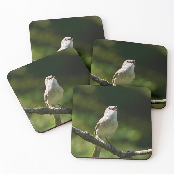 Item preview, Songs for the summer. Lesser whitethroat designed and sold by Jouko Lehto Photography.