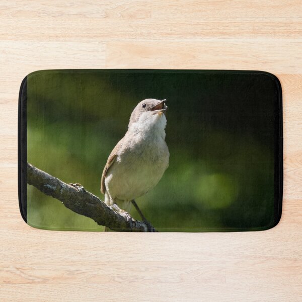Item preview, Songs for the summer. Lesser whitethroat designed and sold by Jouko Lehto Photography.
