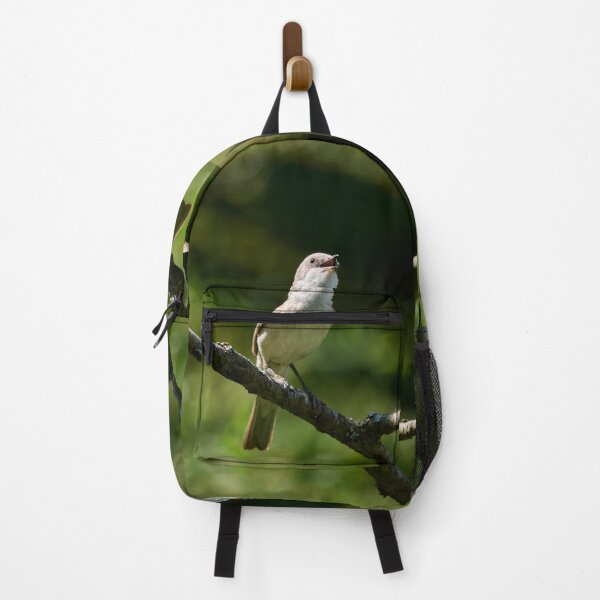 Item preview, Songs for the summer. Lesser whitethroat designed and sold by Jouko Lehto Photography.