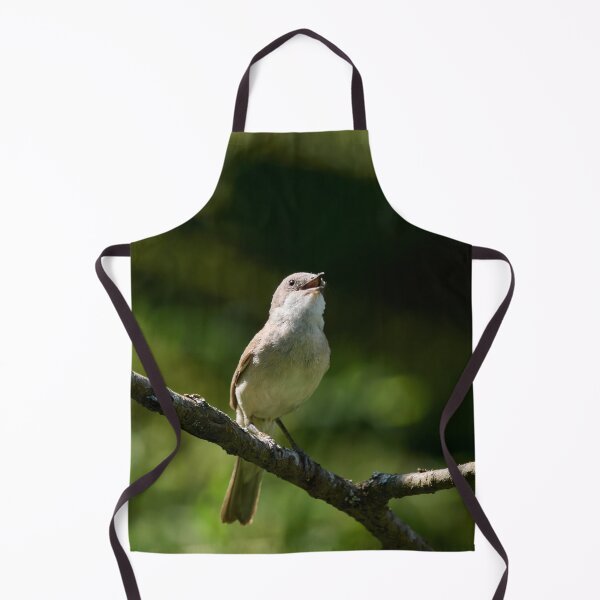 Item preview, Songs for the summer. Lesser whitethroat designed and sold by Jouko Lehto Photography.