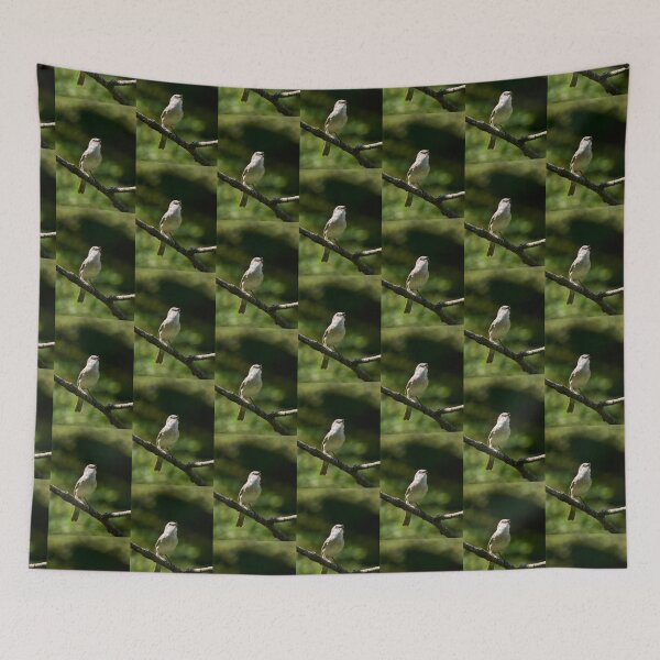 Item preview, Songs for the summer. Lesser whitethroat designed and sold by Jouko Lehto Photography.