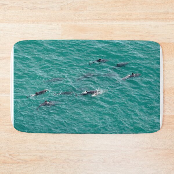 Item preview, Dolphins in the North Sea designed and sold by Mike Cave.